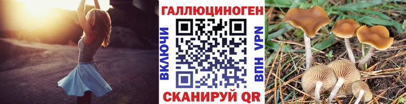 Псилоцибиновые грибы ЛСД  Полысаево 